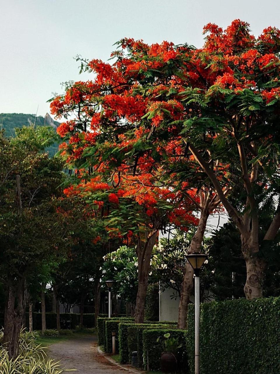 Oceanami Resort & Beach Club Long Hai Esterno foto